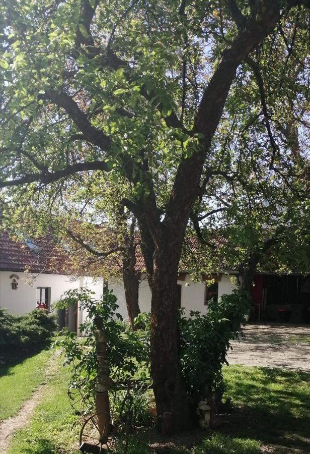 Keramický a výtvarný ateliér Konešín Extérieur photo